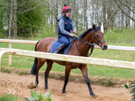 BP140425-48 - Squire Danagher (red hat)